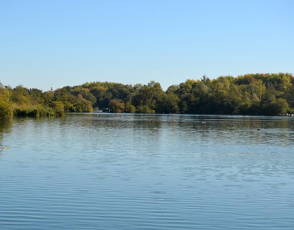 San Silvestre Natural Reserve